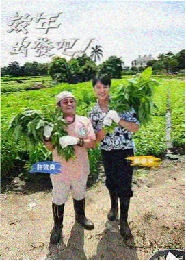 案发现场纪事 韩国推理综艺海报